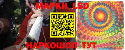 ГАЛЛЮЦИНОГЕННЫЕ ГРИБЫ Абакан